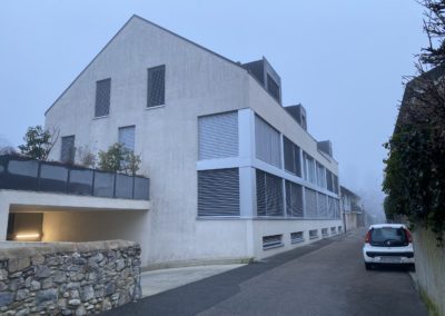 Coppet – Rénovation villa jumelle